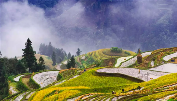 图怪兽_69cb2d621a2837e8d6d2bc72a0490e32_72217